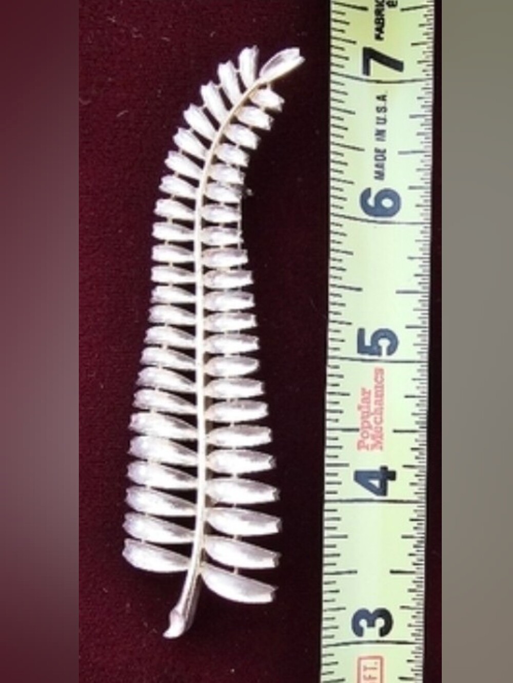 Vintage Silvertone Fern Frond Pin - Picture 3 of 4